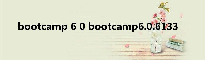 bootcamp 6 0 bootcamp6.0.6133