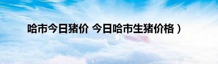 哈市今日猪价 今日哈市生猪价格）