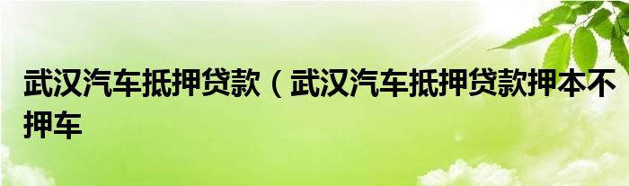 武汉汽车抵押贷款（武汉汽车抵押贷款押本不押车