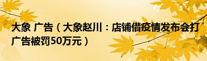 大象 广告（大象赵川：店铺借疫情发布会打广告被罚50万元）