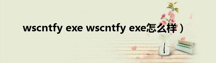 wscntfy exe wscntfy exe怎么样）