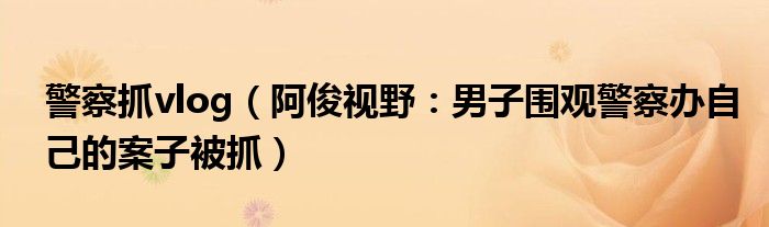 警察抓vlog（阿俊视野：男子围观警察办自己的案子被抓）