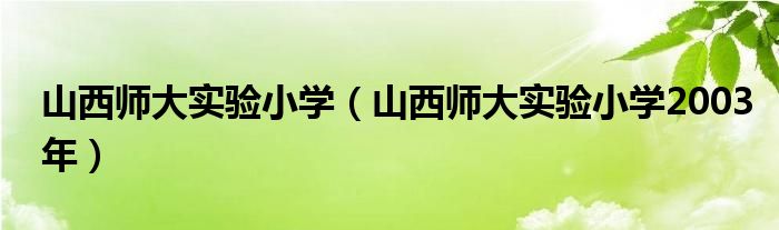 山西师大实验小学（山西师大实验小学2003年）