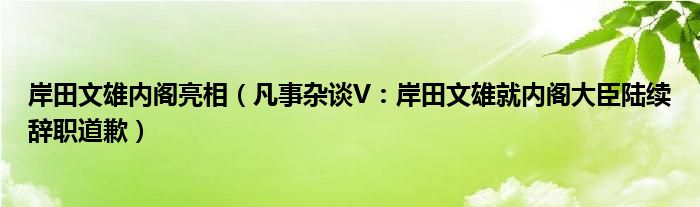 岸田文雄内阁亮相（凡事杂谈V：岸田文雄就内阁大臣陆续辞职道歉）