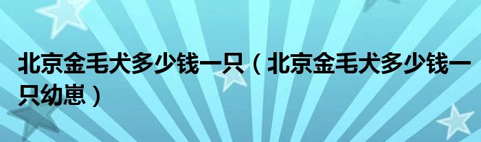 北京金毛犬多少钱一只（北京金毛犬多少钱一只幼崽）