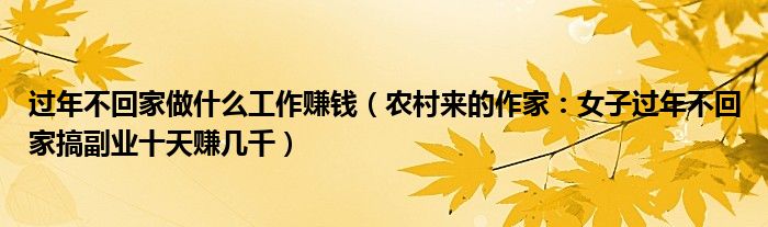 过年不回家做什么工作赚钱（农村来的作家：女子过年不回家搞副业十天赚几千）