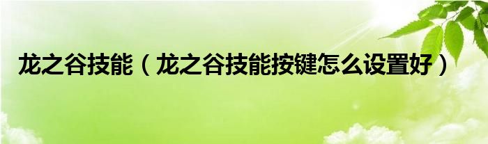 龙之谷技能（龙之谷技能按键怎么设置好）