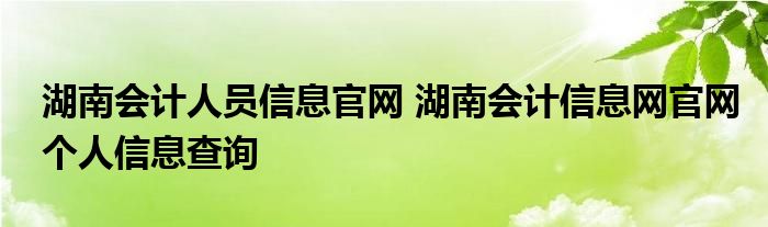 湖南会计人员信息官网 湖南会计信息网官网个人信息查询