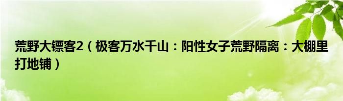 荒野大镖客2（极客万水千山：阳性女子荒野隔离：大棚里打地铺）