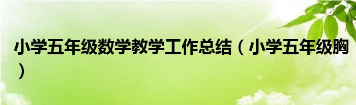 小学五年级数学教学工作总结（小学五年级胸）