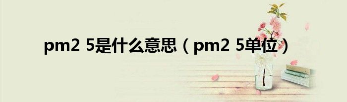 pm2 5是什么意思（pm2 5单位）