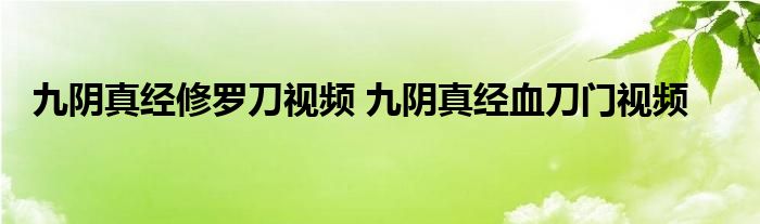 九阴真经修罗刀视频 九阴真经血刀门视频