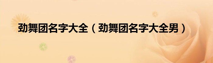 劲舞团名字大全（劲舞团名字大全男）