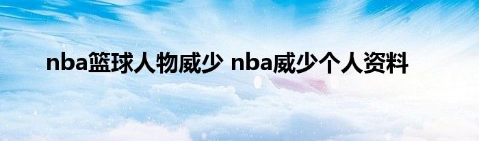 nba篮球人物威少 nba威少个人资料