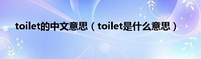 toilet的中文意思（toilet是什么意思）