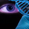 德国学生最喜欢的科目之一：生物学专业