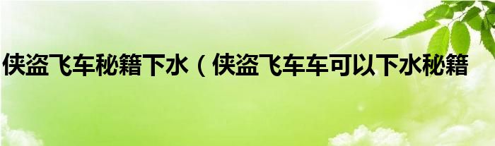 侠盗飞车秘籍下水（侠盗飞车车可以下水秘籍