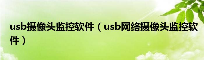 usb摄像头监控软件（usb网络摄像头监控软件）