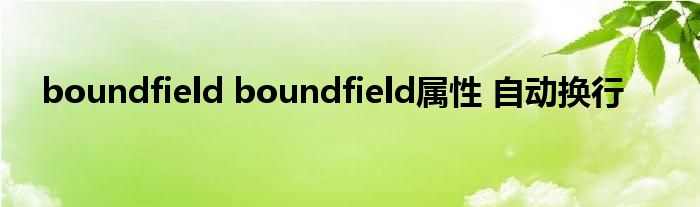 boundfield boundfield属性 自动换行