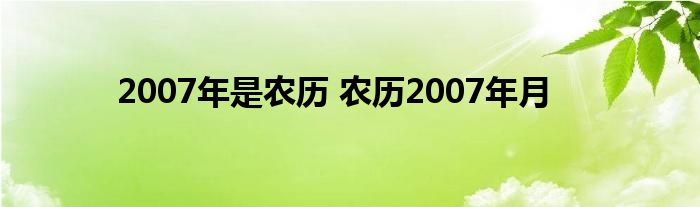 2007年是农历 农历2007年月