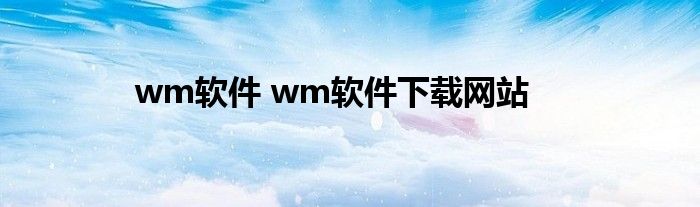 wm软件 wm软件下载网站