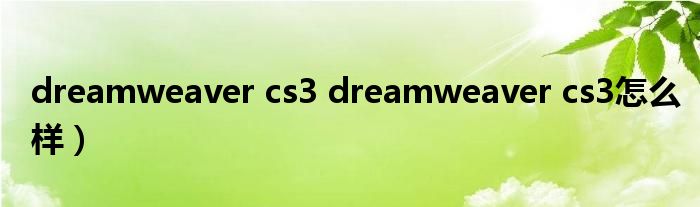 dreamweaver cs3 dreamweaver cs3怎么样）