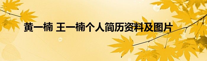 黄一楠 王一楠个人简历资料及图片