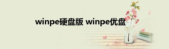 winpe硬盘版 winpe优盘