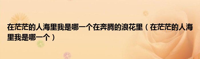 在茫茫的人海里我是哪一个在奔腾的浪花里（在茫茫的人海里我是哪一个）