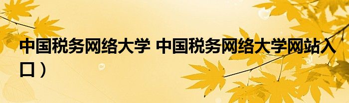 中国税务网络大学 中国税务网络大学网站入口）