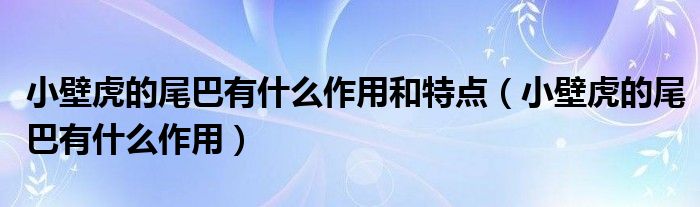 小壁虎的尾巴有什么作用和特点（小壁虎的尾巴有什么作用）