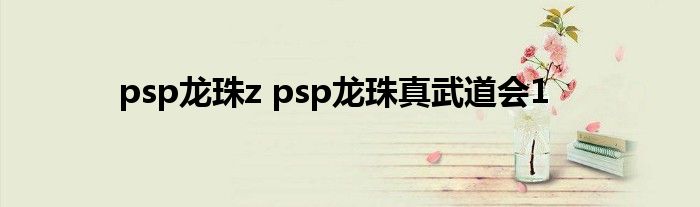 psp龙珠z psp龙珠真武道会1