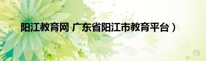 阳江教育网 广东省阳江市教育平台）