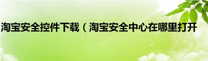 淘宝安全控件下载（淘宝安全中心在哪里打开