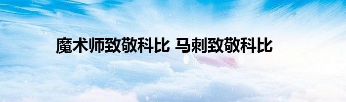 魔术师致敬科比 马刺致敬科比