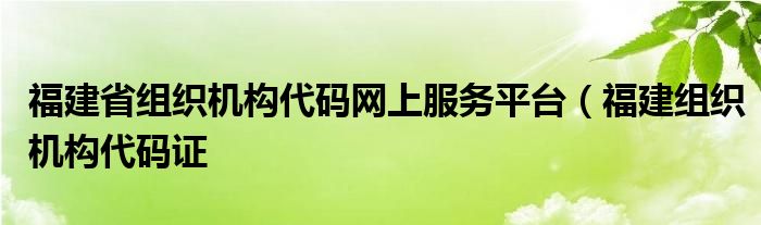 福建省组织机构代码网上服务平台（福建组织机构代码证