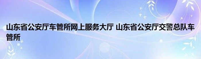 山东省公安厅车管所网上服务大厅 山东省公安厅交警总队车管所