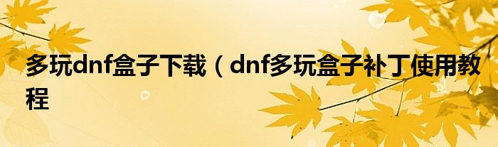 多玩dnf盒子下载（dnf多玩盒子补丁使用教程