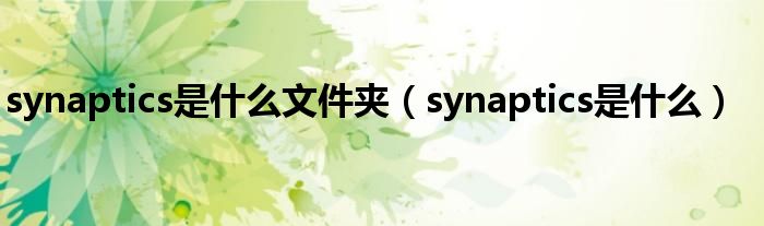 synaptics是什么文件夹（synaptics是什么）