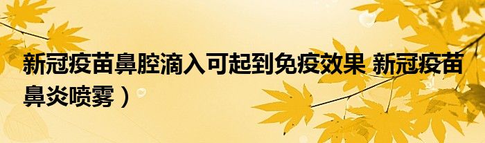 新冠疫苗鼻腔滴入可起到免疫效果 新冠疫苗 鼻炎喷雾）