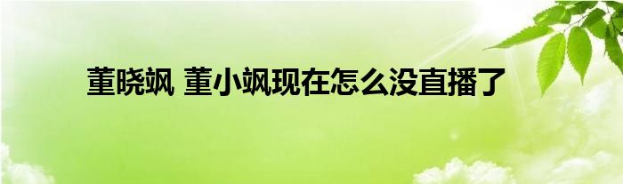 董晓飒 董小飒现在怎么没直播了