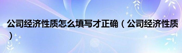 公司经济性质怎么填写才正确（公司经济性质）