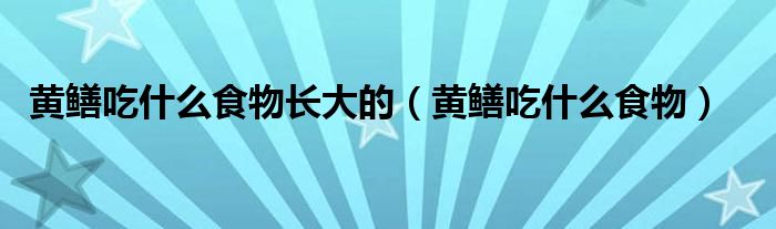 黄鳝吃什么食物长大的（黄鳝吃什么食物）