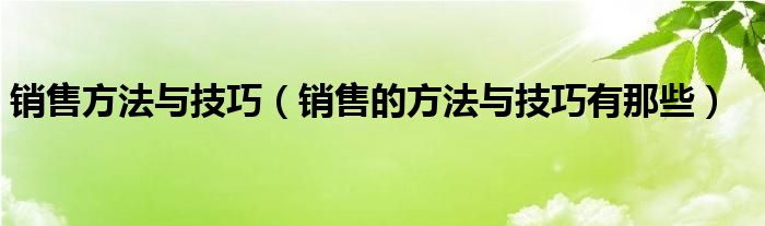 销售方法与技巧（销售的方法与技巧有那些）