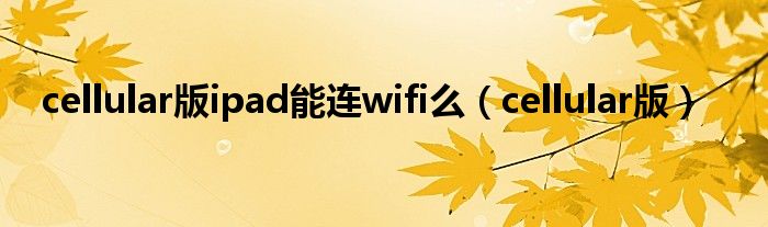 cellular版ipad能连wifi么（cellular版）