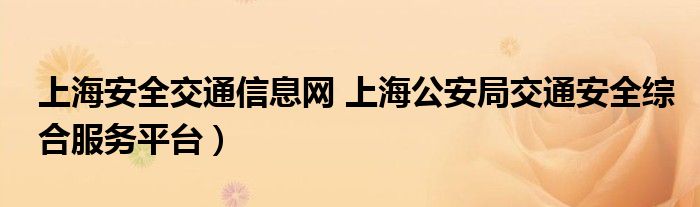 上海安全交通信息网 上海公安局交通安全综合服务平台）