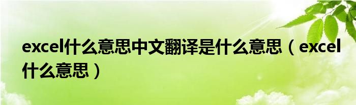 excel什么意思中文翻译是什么意思（excel什么意思）