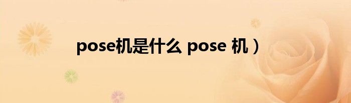 pose机是什么 pose 机）