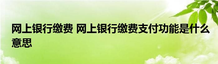 网上银行缴费 网上银行缴费支付功能是什么意思