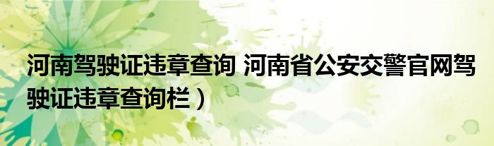 河南驾驶证违章查询 河南省公安交警官网驾驶证违章查询栏）